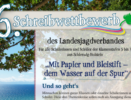 Der 6. Schreibwettbewerb startet: „Mit Papier und Bleistift – dem Wasser auf der Spur“