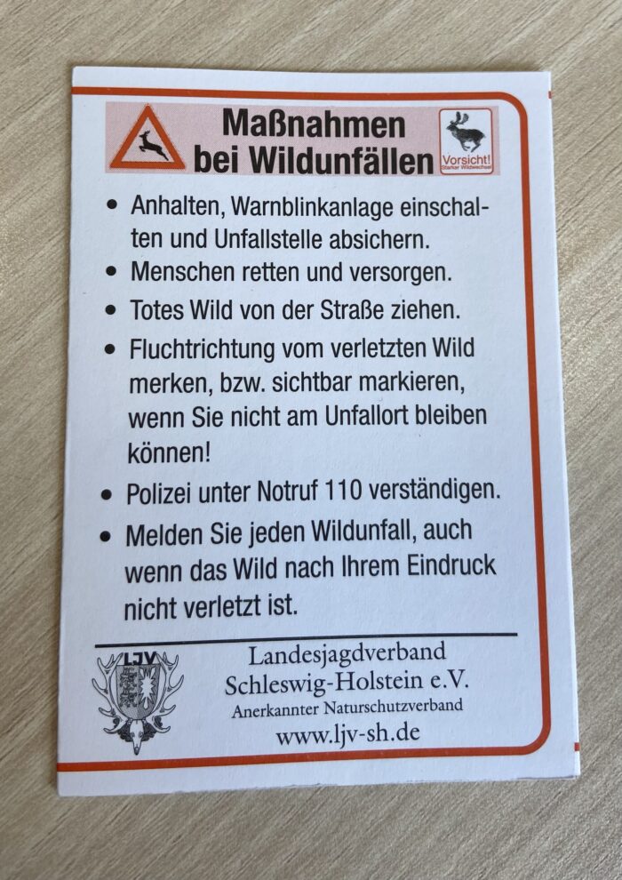 Maßnahmen bei Wildunfällen