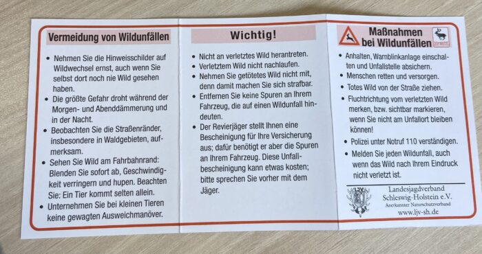 Maßnahmen bei Wildunfällen – Bild 2