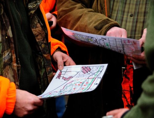 Jagdleiter-Seminar 2025: Erfolgreiche Vorbereitung auf die Bewegungsjagden