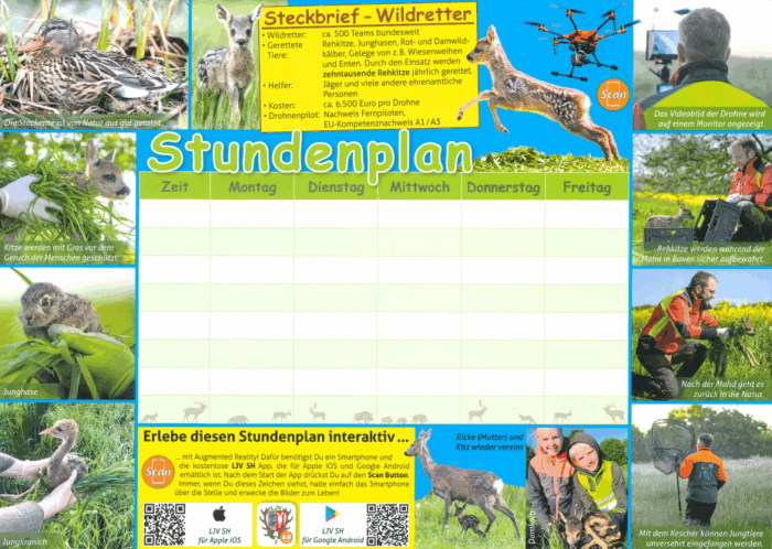 Stundenplan - verschiedene Motive
