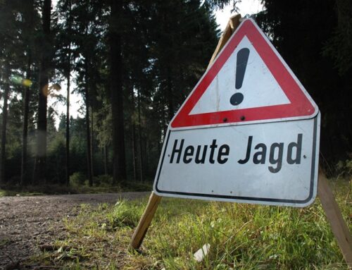 Verkehrssicherungspflicht bei Gesellschaftsjagden: Neue Erlasslage in Schleswig-Holstein