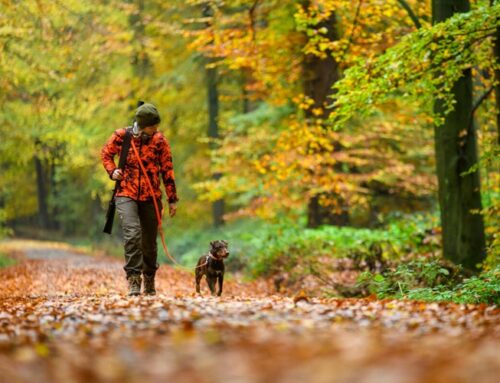 Zahl steigt: Mehr Jäger-Nachwuchs in Deutschland
