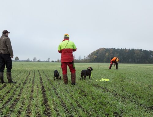 Anschuss-Seminar mit Marcel Zickermann