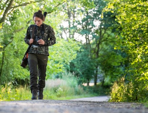 Praxisnaher Einstieg für jagdlichen Nachwuchs: Nachhaltigkeit für Natur, Wald und Wild
