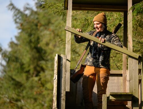 Jungjägeransitz: Landesjagdverband verlost 10 Plätze