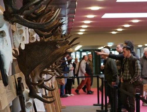 Landeshegeschau 2026: Ausstellungskatalog ab sofort online einsehbar
