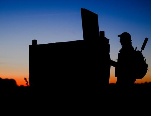 Seminar: Jagen während der Nacht – Ethik, Recht und Technik