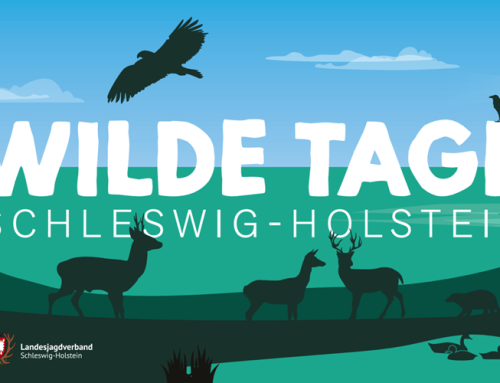 Wilde Tage Schleswig-Holstein: Jagd und Natur im September erleben