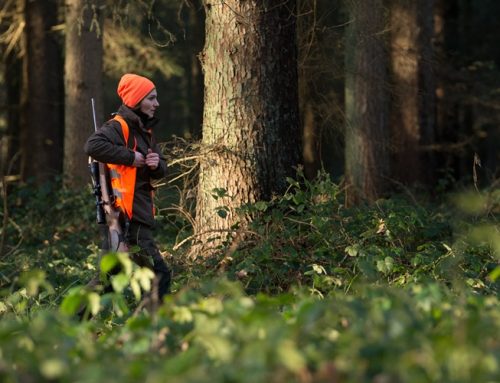Training: Schießkino für junge Jäger