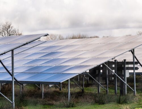 Solar-Erlass aktualisiert: Wichtiger Schritt zur Sicherung der Wildwege