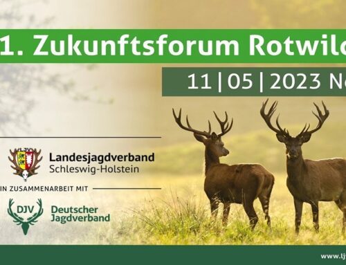 Zukunftsforum Rotwild: Vorträge jetzt online verfügbar