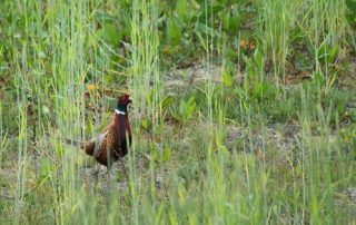 Jetzt wirds bunt im Revier!