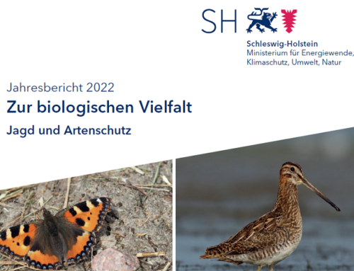 Jagd und Artenschutz: Jahresbericht 2022 zur biologischen Vielfalt veröffentlicht