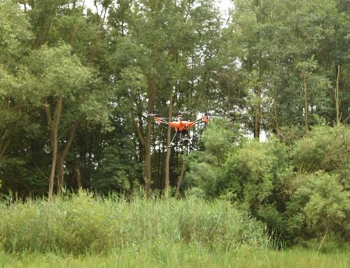 Kitzrettung: Kein Flugverbot wegen NATO-Übung