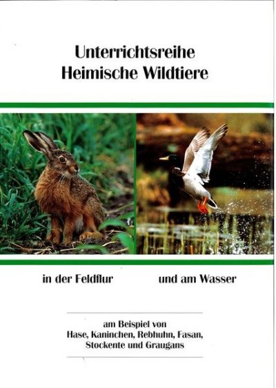 Mappe Mit OH-Folien Unterrichtsreihe "Heimische Wildtiere In Der ...