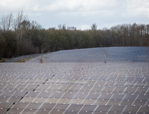 Neuer Solar-Erlass: Landesjagverband reicht Stellungnahme ein