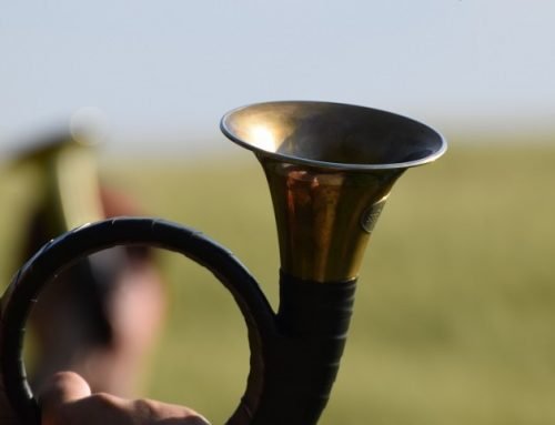 Brauchtum: Prüfung des Jagdgebrauchshornbläserabzeichen