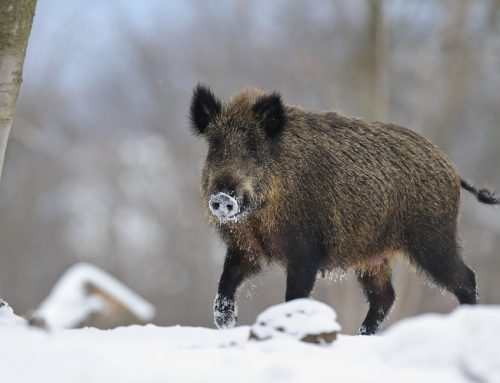 Geschäftsstelle zwischen den Jahren geschlossen