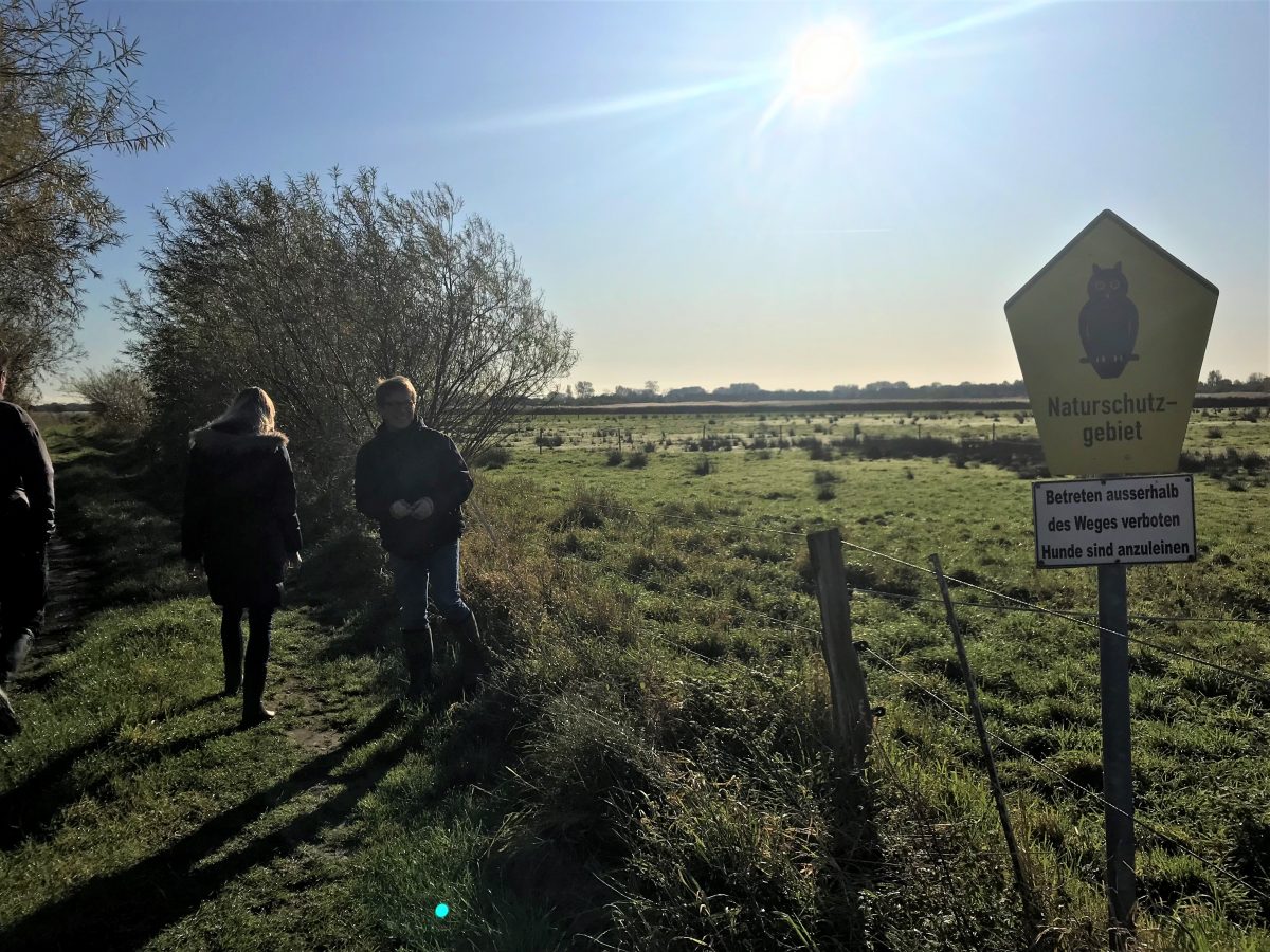 Barsbeker See Wiesenvogelschutz statt Binsenzucht Landesjagdverband